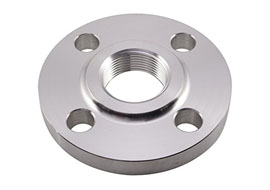 SS Threaded Flange